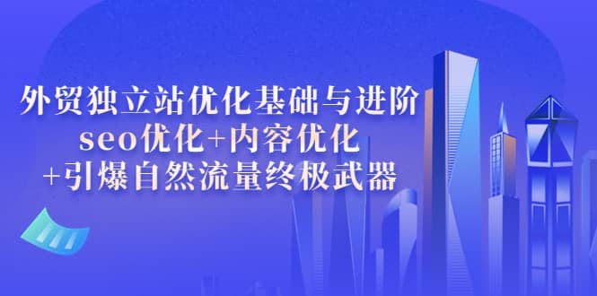 外贸独立站优化基础与进阶，seo优化+内容优化+引爆自然流量终极武器-云创网