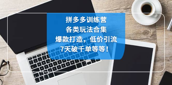 拼多多训练营：各玩法合集，爆款打造，低价引流，7天破千单等等-云创网