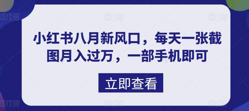 八月新风口，小红书虚拟项目一天收入1000+，实战揭秘-云创网
