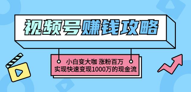 玩转微信视频号赚钱：小白变大咖涨粉百万实现快速变现1000万的现金流-云创网