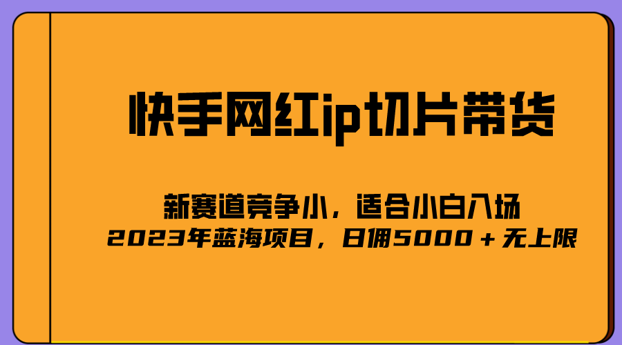 2023爆火的快手网红IP切片，号称日佣5000＋的蓝海项目，二驴的独家授权-云创网