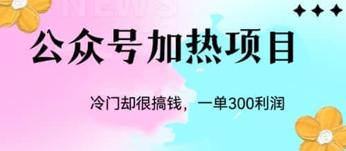 冷门公众号加热项目，一单利润300+-云创网