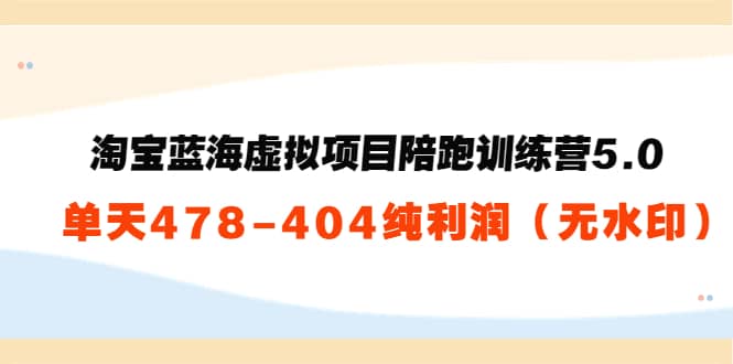淘宝蓝海虚拟项目陪跑训练营5.0：单天478纯利润（无水印）-云创网