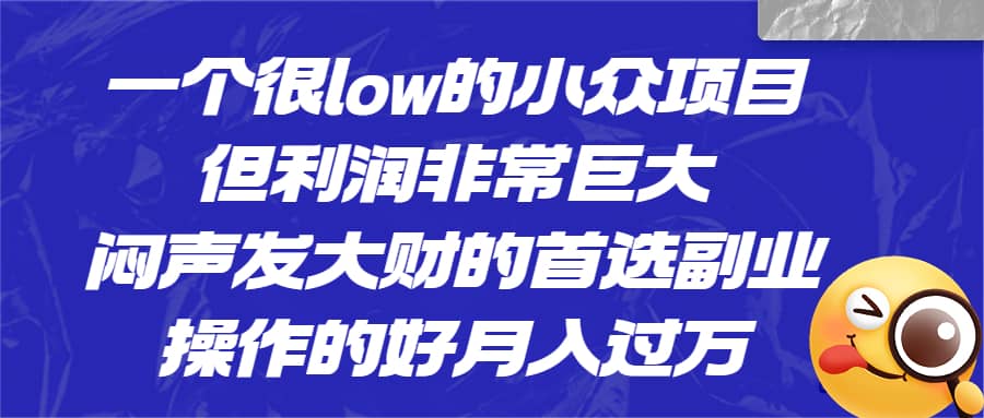 一个很low的小众项目，但利润非常巨大，闷声发大财的首选副业，月入过万-云创网