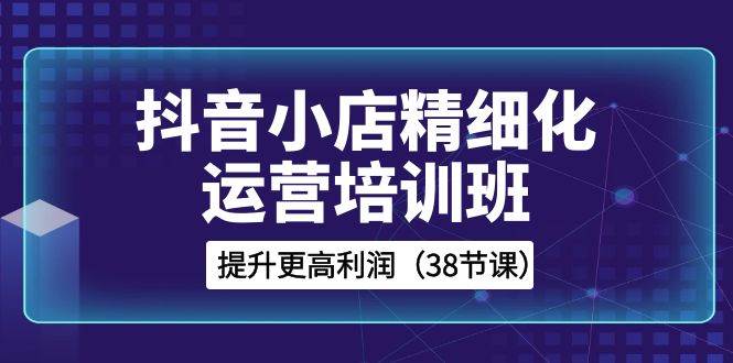抖音小店-精细化运营培训班，提升更高利润（38节课）-云创网