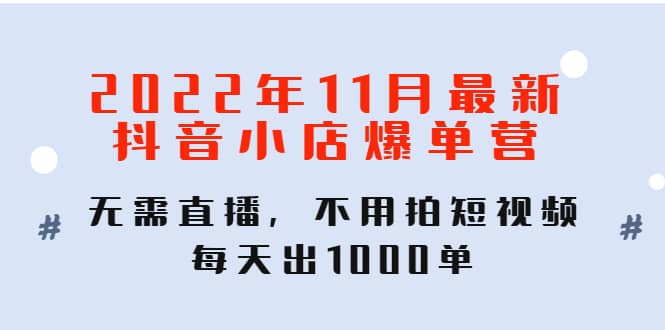 2022年11月最新抖音小店爆单训练营：无需直播，不用拍短视频，每天出1000单-云创网