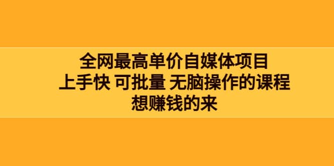 全网最单高价自媒体项目：上手快 可批量 无脑操作的课程，想赚钱的来-云创网