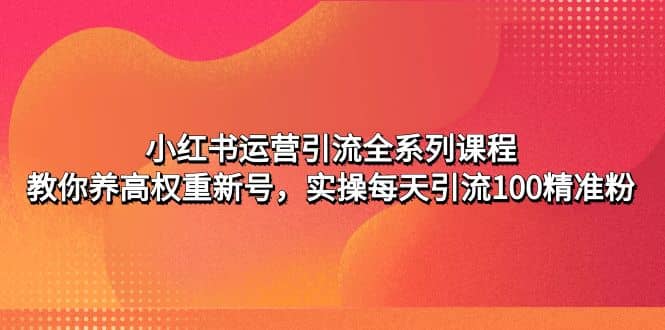 小红书运营引流全系列课程：教你养高权重新号-云创网