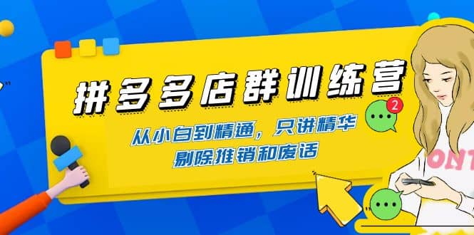 拼多多店群训练营：从小白到精通，只讲精华，剔除推销和废话-云创网