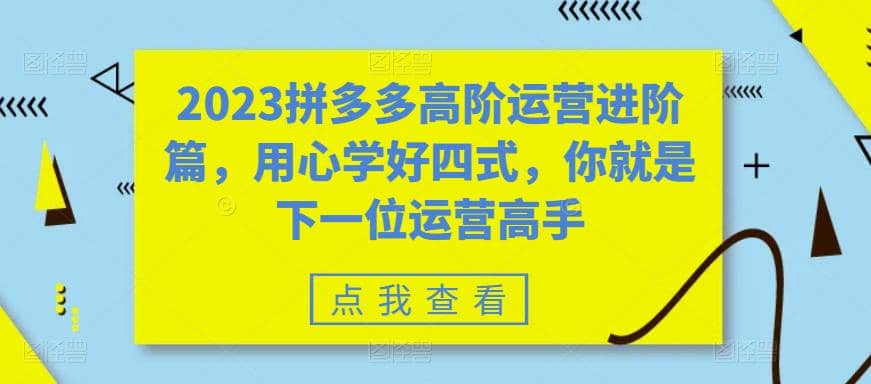 2023拼多多高阶运营进阶篇，用心学好四式，你就是下一位运营高手-云创网