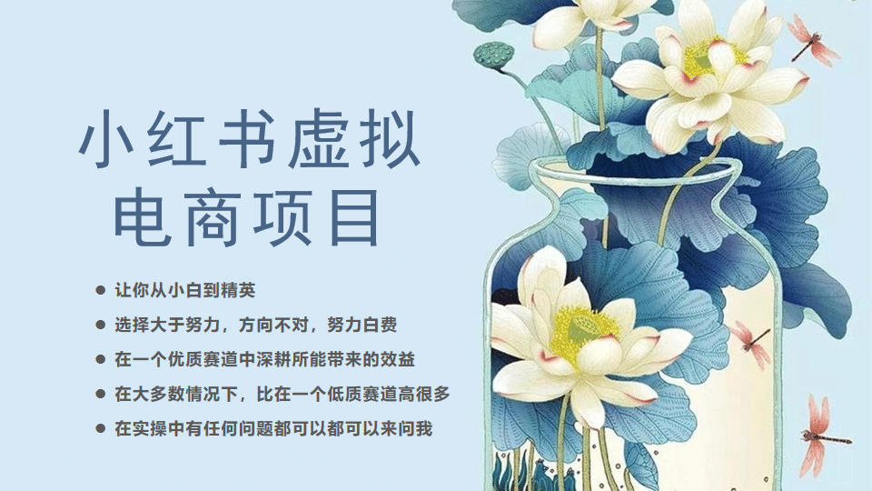小红书虚拟电商从0到1，让你从小白到精英（20节实操课程）-云创网