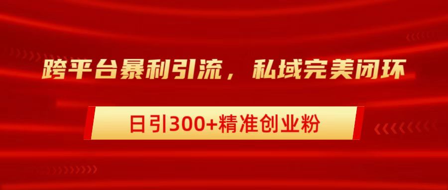 跨平台暴力引流，私域完美闭环，日引300+精准创业粉-云创网
