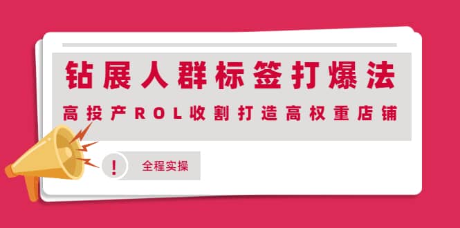 钻展人群标签打爆法，高投产ROL收割打造高权重店铺(全程实操)-云创网