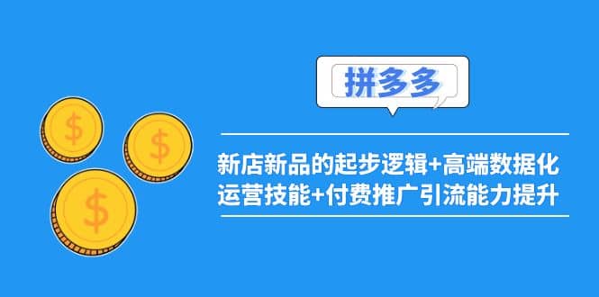 2022拼多多：新店新品的起步逻辑+高端数据化运营技能+付费推广引流能力提升-云创网