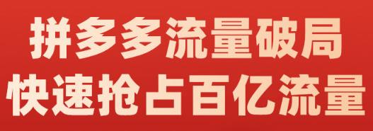 阿杰·拼多多流量破局:如何打黑标，爆款的思路，拼多多流量框架，快速抢占百亿流量-云创网