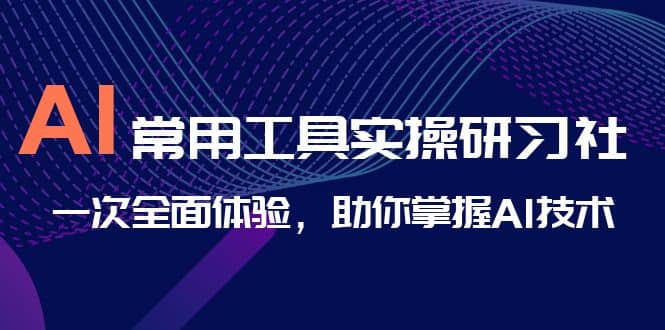 AI-常用工具实操研习社，一次全面体验，助你掌握AI技术-云创网