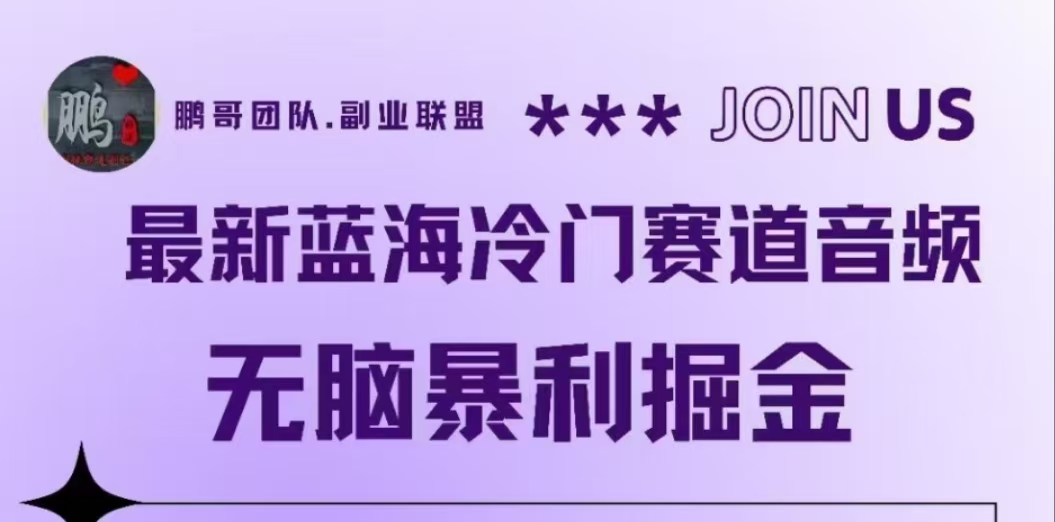 最新蓝海冷门赛道音频，无脑暴利掘金-云创网