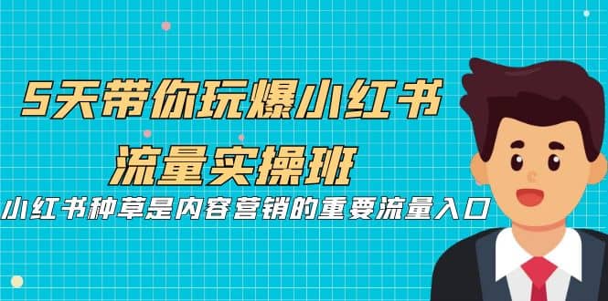 5天带你玩爆小红书流量实操班，小红书种草是内容营销的重要流量入口-云创网