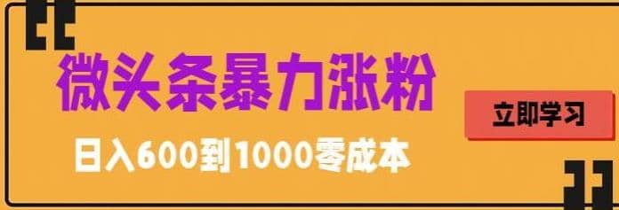 微头条暴力涨粉技巧搬运文案就能涨几万粉丝，简单0成本，日赚600-云创网