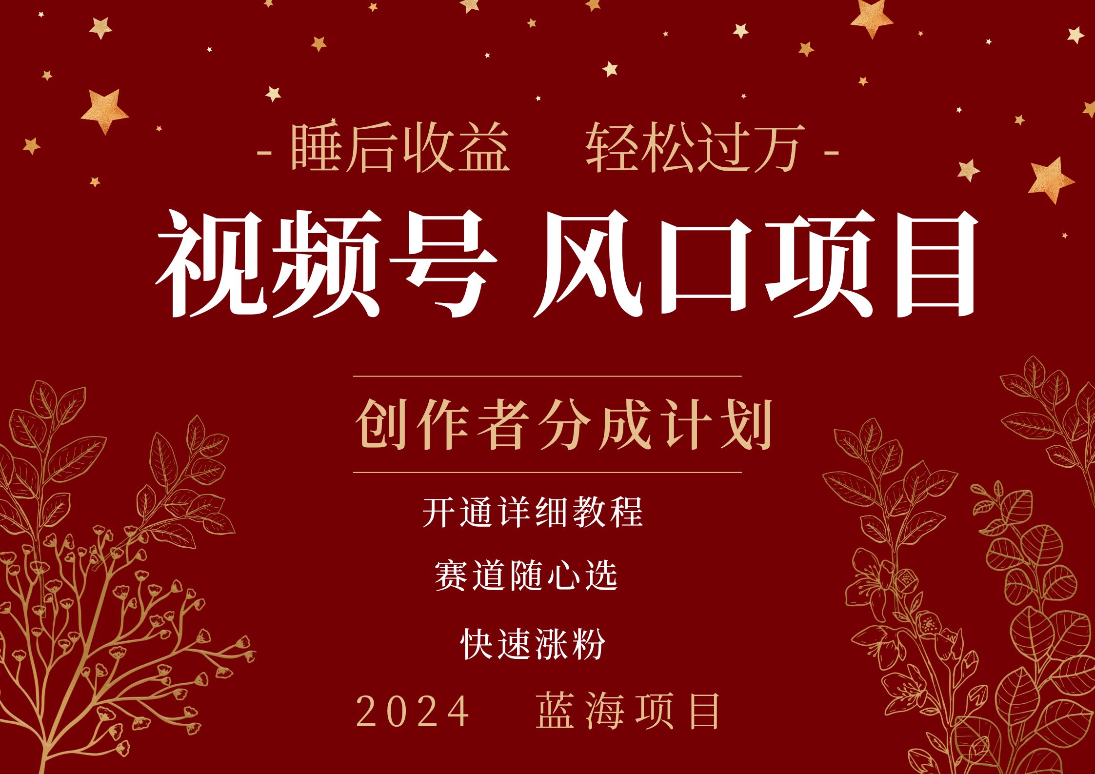 拥有睡眠收益的微信视频号大风口项目，轻松月入过万+，多赛道选择，可矩阵，玩法简单轻松上手-云创网