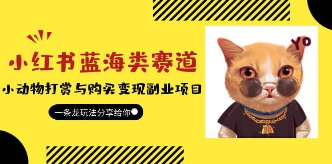 小红书蓝海类赛道：小动物打赏与购买变现副业项目，一条龙玩法分享给你-云创网