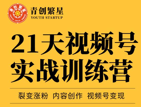 张萌21天视频号实战训练营，裂变涨粉、内容创作、视频号变现 价值298元-云创网