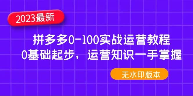 2023拼多多0-100实战运营教程，0基础起步，运营知识一手掌握（无水印）-云创网