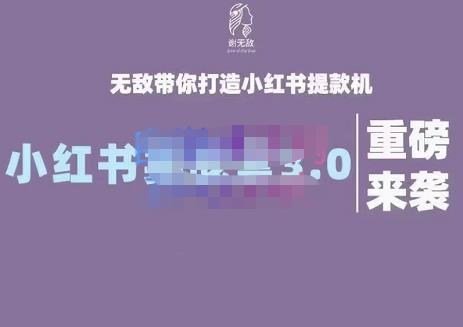 谢无敌·小红书实战营3.0，无敌带你打造小红书提款机 价值7999元-云创网