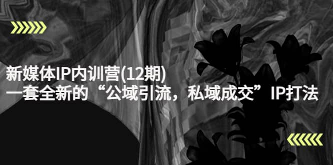 新媒体IP内训营(12期)，一套全新的“公域引流，私域成交”IP打法，直接带走-云创网