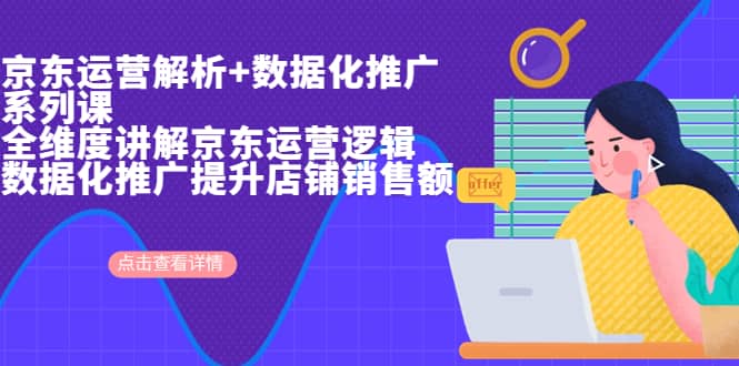 京东运营解析与数据化推广系列课，全维度讲解京东运营逻辑+数据化推广提升店铺销售额-云创网