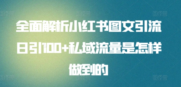 日引流100私域流量小红书图文是怎样做到的全面解析-云创网