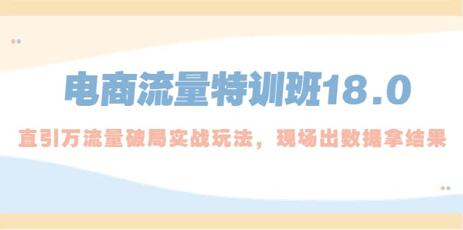 电商流量特训班18.0，直引万流量破局实操玩法，现场出数据拿结果-云创网