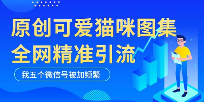 黑科技纯原创可爱猫咪图片，全网精准引流，实操5个VX号被加频繁-云创网