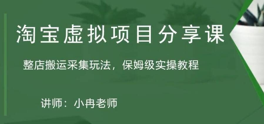 淘宝虚拟整店搬运采集玩法分享课：整店搬运采集玩法，保姆级实操教程-云创网