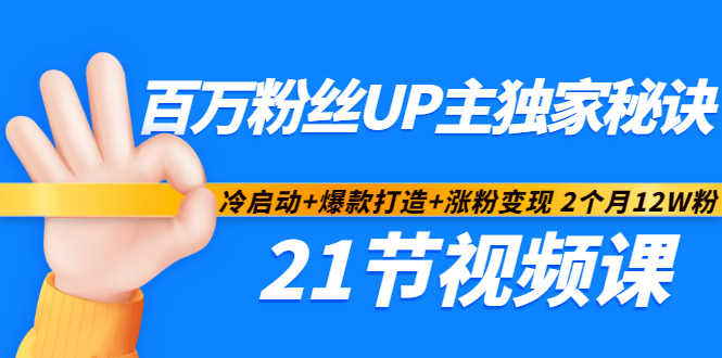 百万粉丝UP主独家秘诀：冷启动+爆款打造+涨粉变现2个月12W粉（21节视频课)-云创网