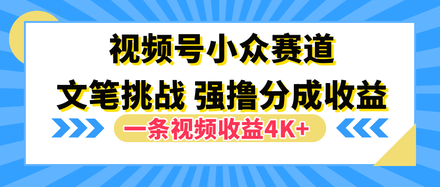 视频号小众赛道，文笔挑战，一条视频收益4K+-云创网