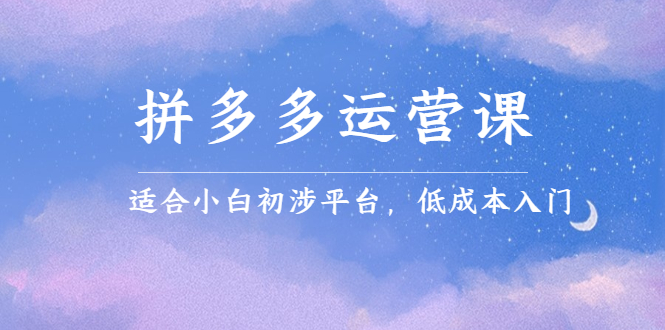 拼多多运营课，适合小白初涉平台，低成本入门-云创网