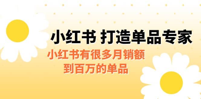 某公众号付费文章《小红书 打造单品专家》小红书有很多月销额到百万的单品-云创网