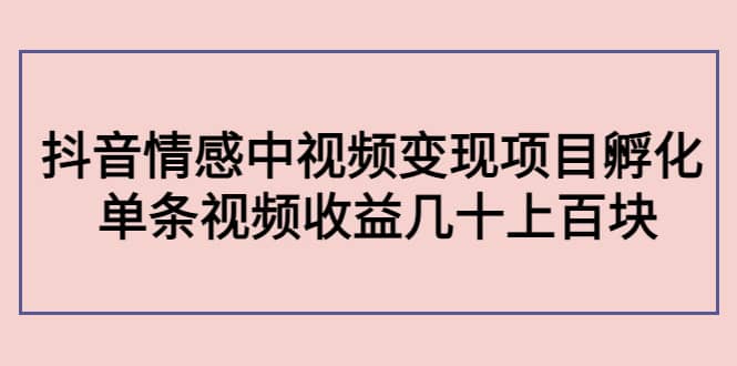 抖音情感中视频变现项目孵化-云创网