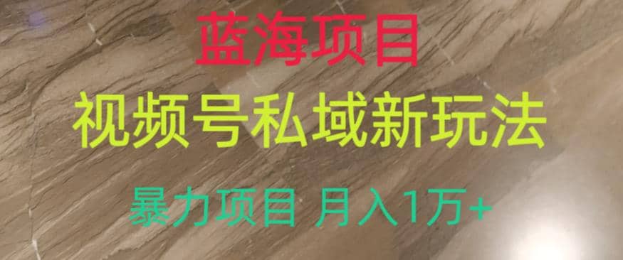 蓝海项目，视频号私域新玩法，暴力项目月入1万+【揭秘】-云创网