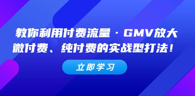 教你利用付费流量·GMV放大，微付费、纯付费的实战型打法-云创网