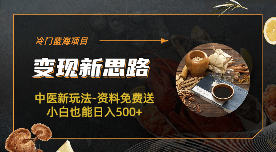冷门蓝海项目-中医新玩法-冷门蓝海项目-中医新玩法-资料免费送小白也能日入500+500+-云创网