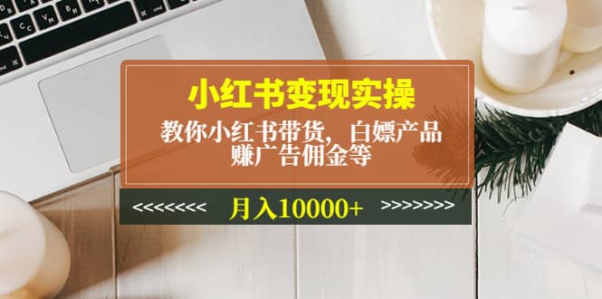 小红书变现实操：教你小红书带货，白嫖产品，赚广告佣金等-云创网