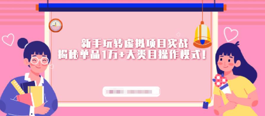 新手玩转虚拟项目实战，揭秘单品1万+大类目操作模式【视频课程】-云创网