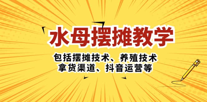 水母·摆摊教学，包括摆摊技术、养殖技术、拿货渠道、抖音运营等-云创网