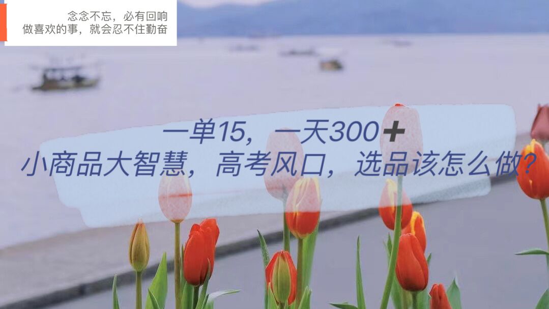 一单15，一天300+，小商品大智慧，高考风口，选品该怎么布局-云创网