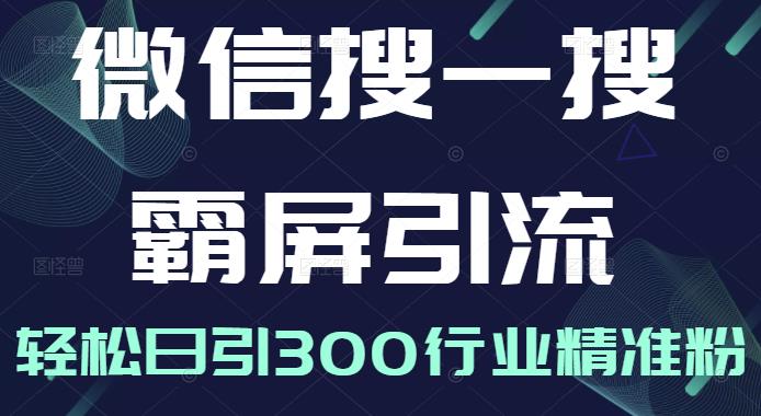 微信搜一搜霸屏引流课，打造被动精准引流系统，轻松日引300行业精准粉【无水印】-云创网