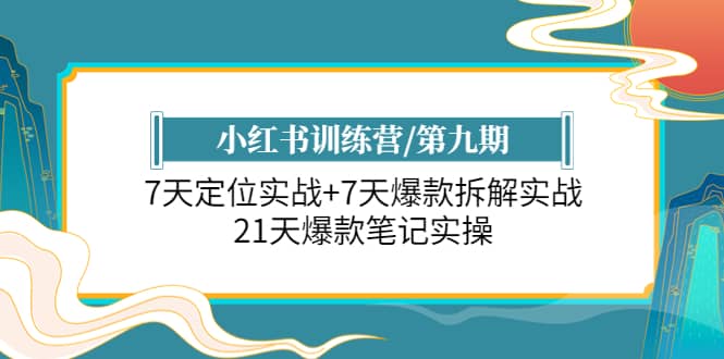 小红书训练营/第九期：7天定位实战+7天爆款拆解实战，21天爆款笔记实操-云创网