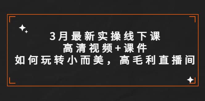 3月最新实操线下课高清视频+课件，如何玩转小而美，高毛利直播间-云创网