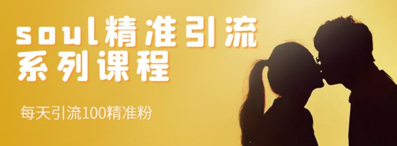 soul精准引流系列课程，每天引流100精准粉-云创网